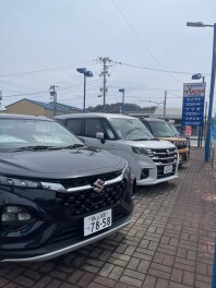 新生活にぜひ☆彡